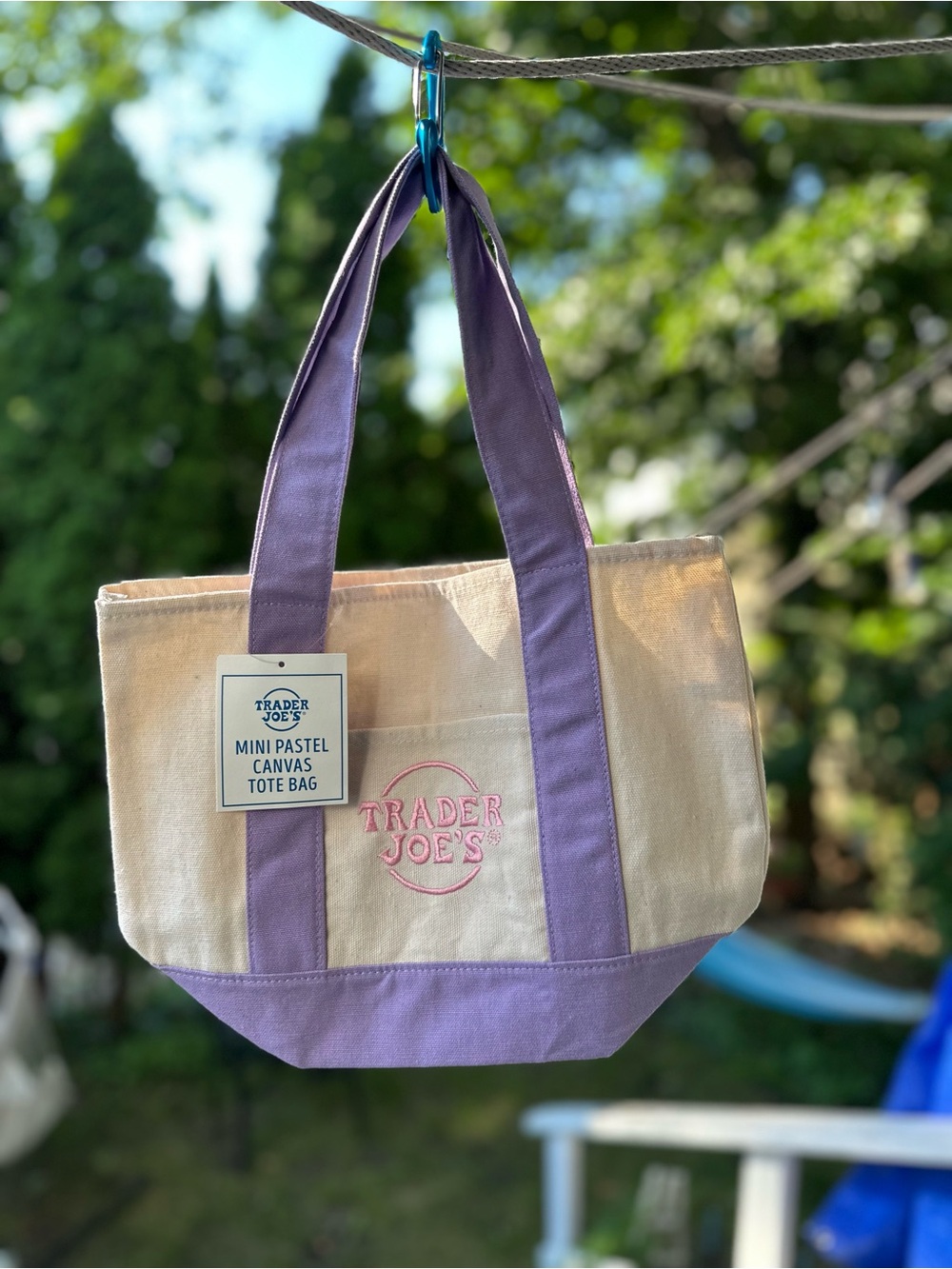 Trader Joe's Mini Canvas Tote in Cream with Purple Accents